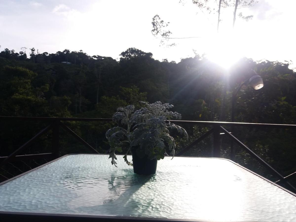 Quinta Los Volcanes Turrialba Dış mekan fotoğraf
