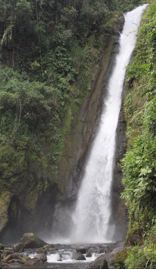 Quinta Los Volcanes Turrialba Dış mekan fotoğraf