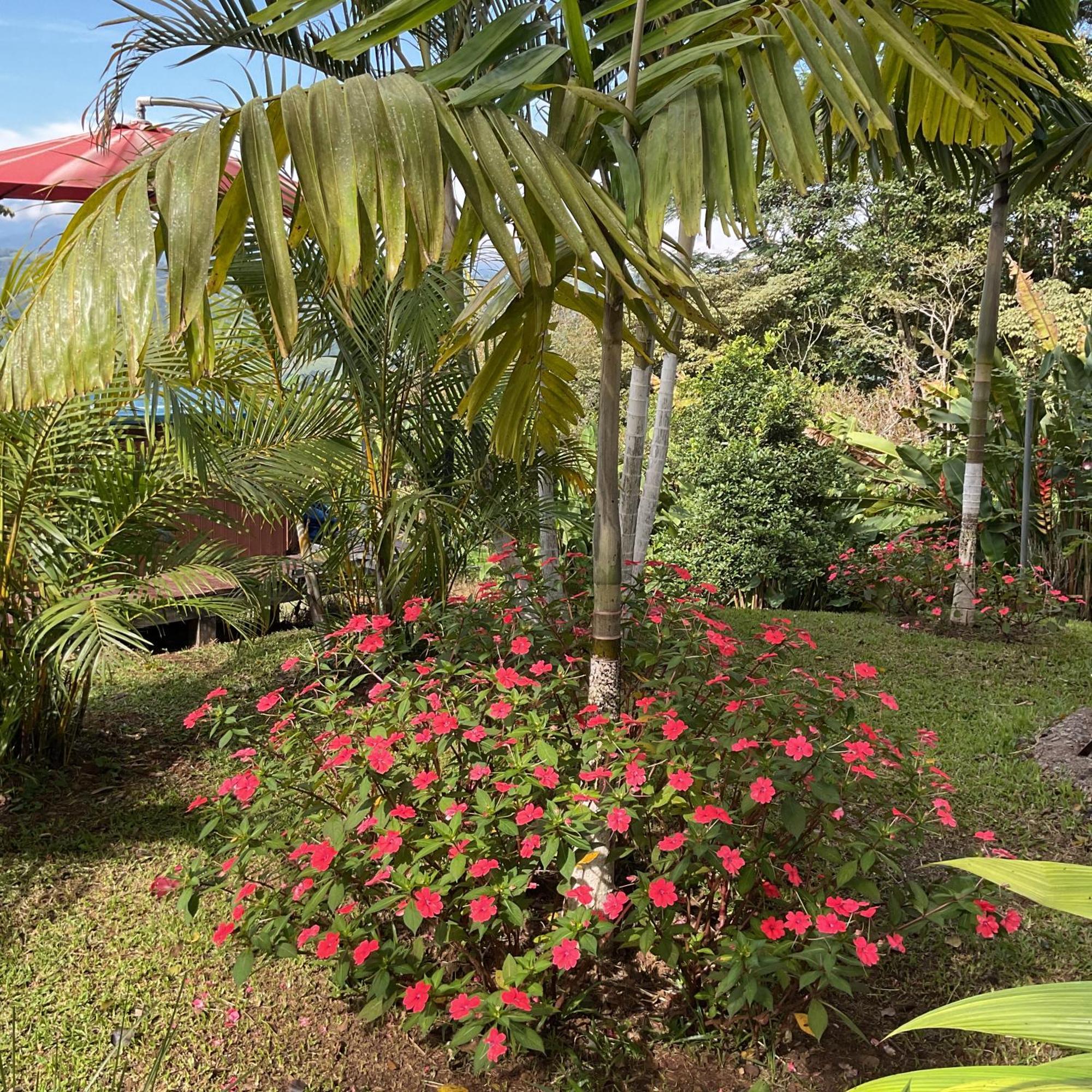 Quinta Los Volcanes Turrialba Dış mekan fotoğraf