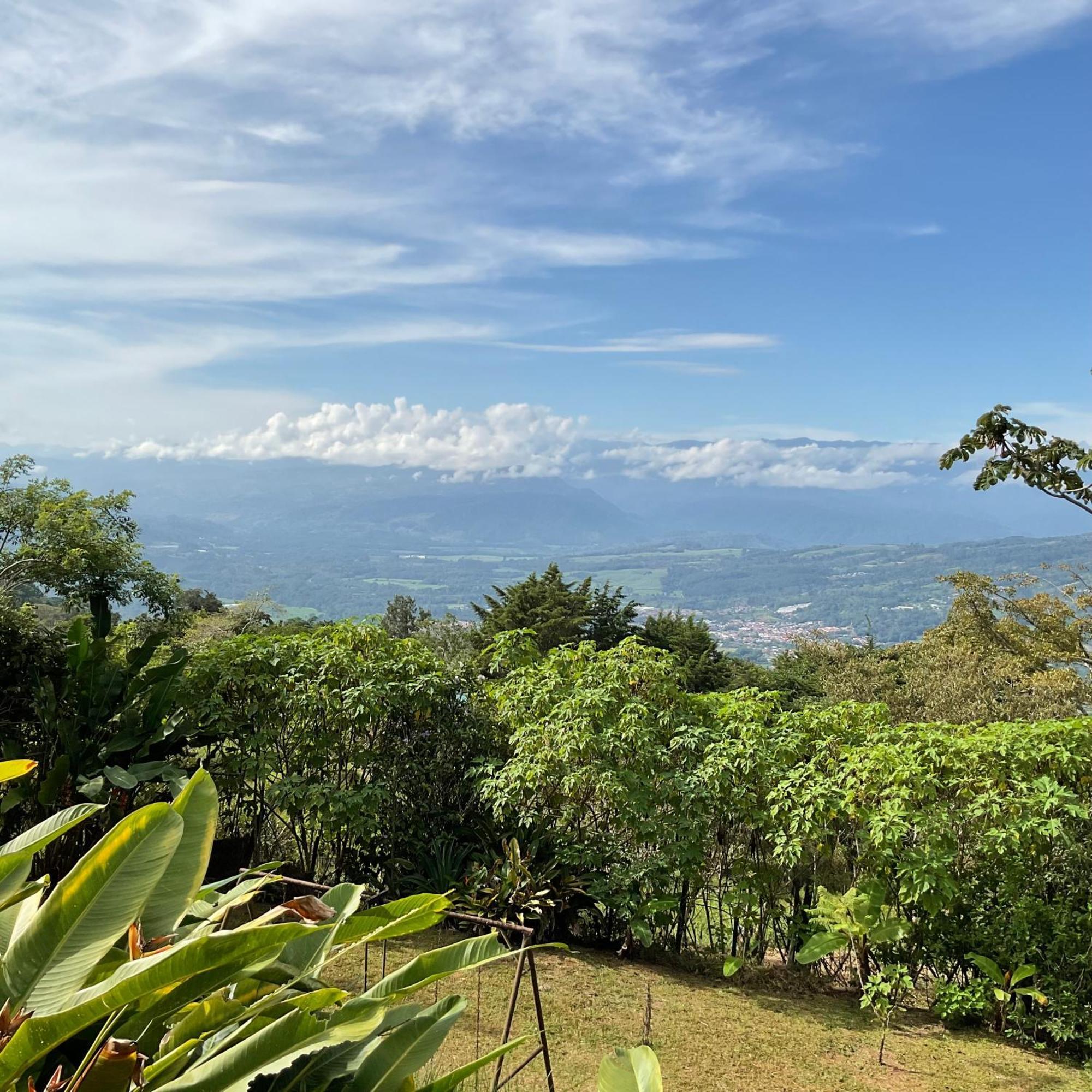 Quinta Los Volcanes Turrialba Dış mekan fotoğraf
