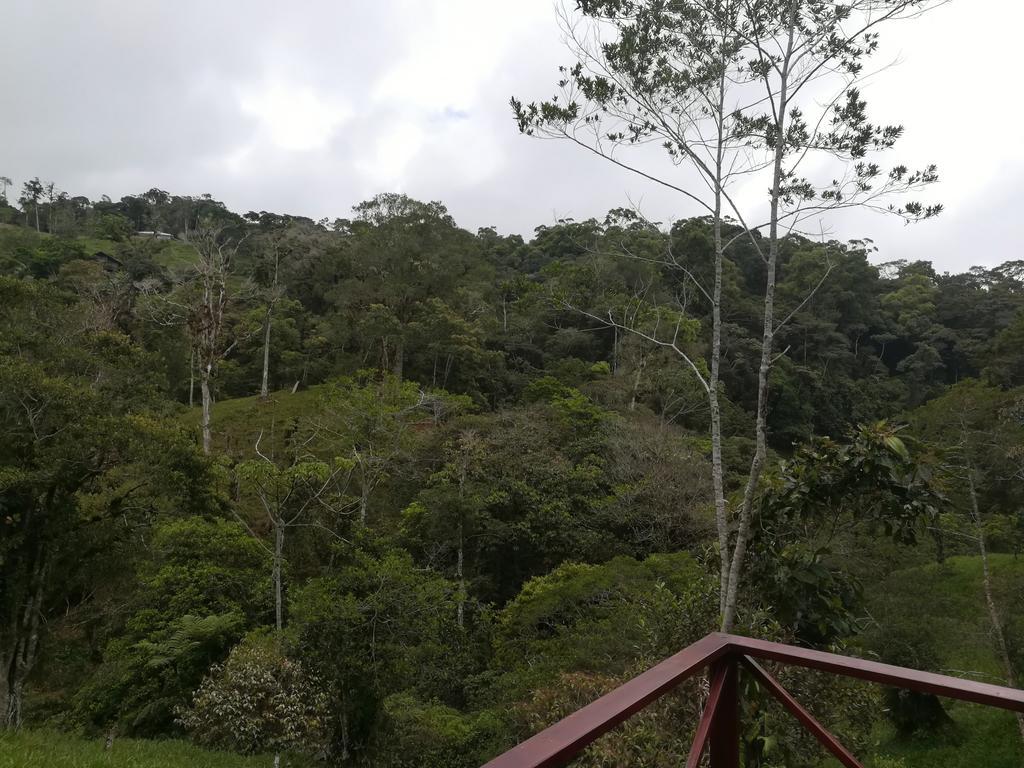 Quinta Los Volcanes Turrialba Dış mekan fotoğraf